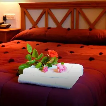 酒店 Aldeaduero Rural 4*